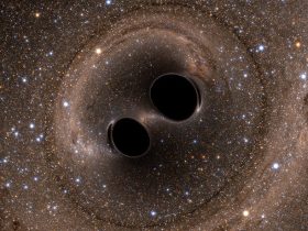 gauri negre